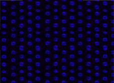 product6-adv2.jpg product6-adv2.jpg